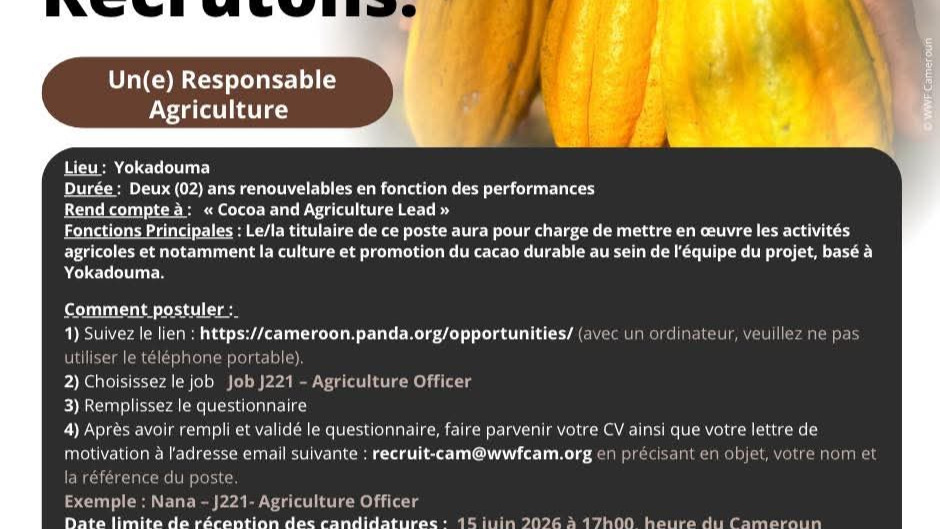 WWF Cameroun recrute : Détails du poste et critères de sélection